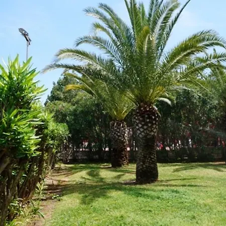 Διαμέρισμα Patio Andaluz